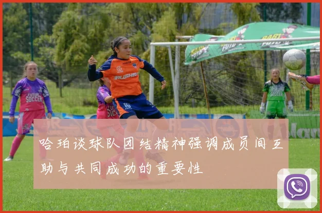 哈珀谈球队团结精神强调成员间互助与共同成功的重要性