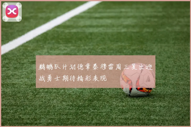 鹈鹕队计划德章泰穆雷周三复出迎战勇士期待精彩表现
